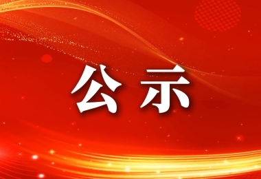 陵水黎族自治县城乡建设集团有限公司关于公开招募合作供应商的结果公示