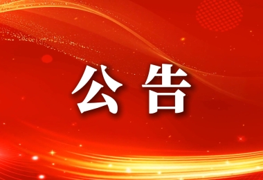 海南永昇市政有限公司关于绿化机械设备采购项目二次招采的流标公告